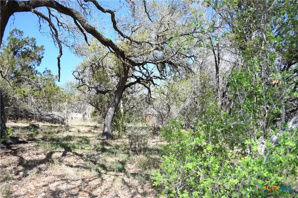 1361 Hidden Valley Drive, Spring Branch, TX 78070