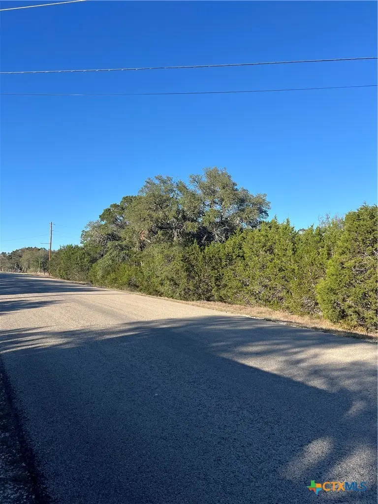 684 Spring Street, Spring Branch, TX 78070 - #3