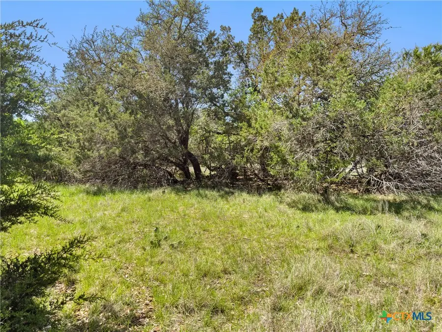 1510 Misty Lane, Spring Branch, TX 78070 - #2