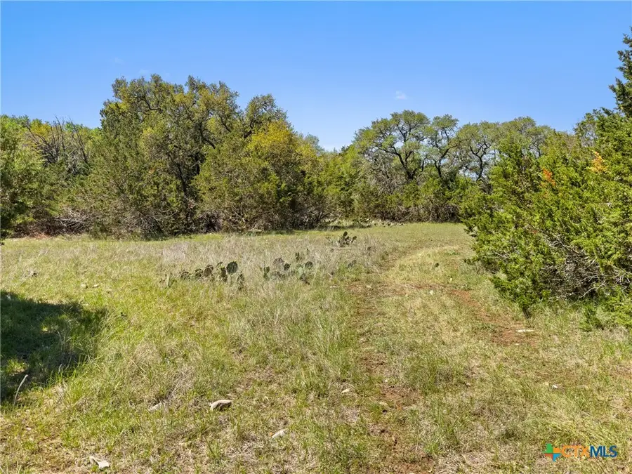 1510 Misty Lane, Spring Branch, TX 78070 - #3