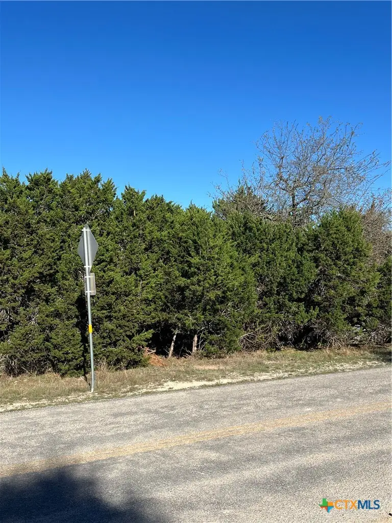 440 Canyon Edge, Canyon Lake, TX 78133 - #1