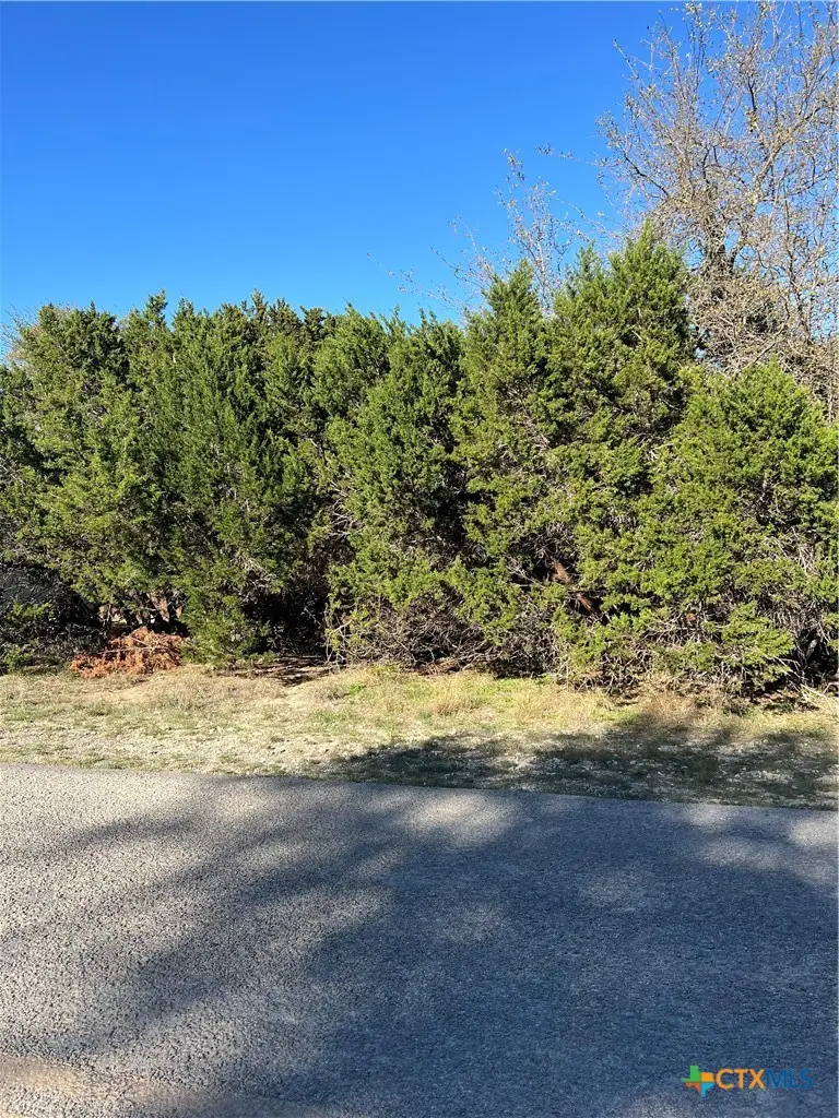 440 Canyon Edge, Canyon Lake, TX 78133 - #2