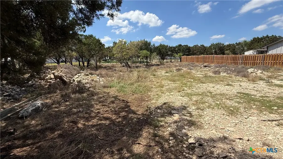 1024 Greenbriar Drive, Canyon Lake, TX 78133 - #3