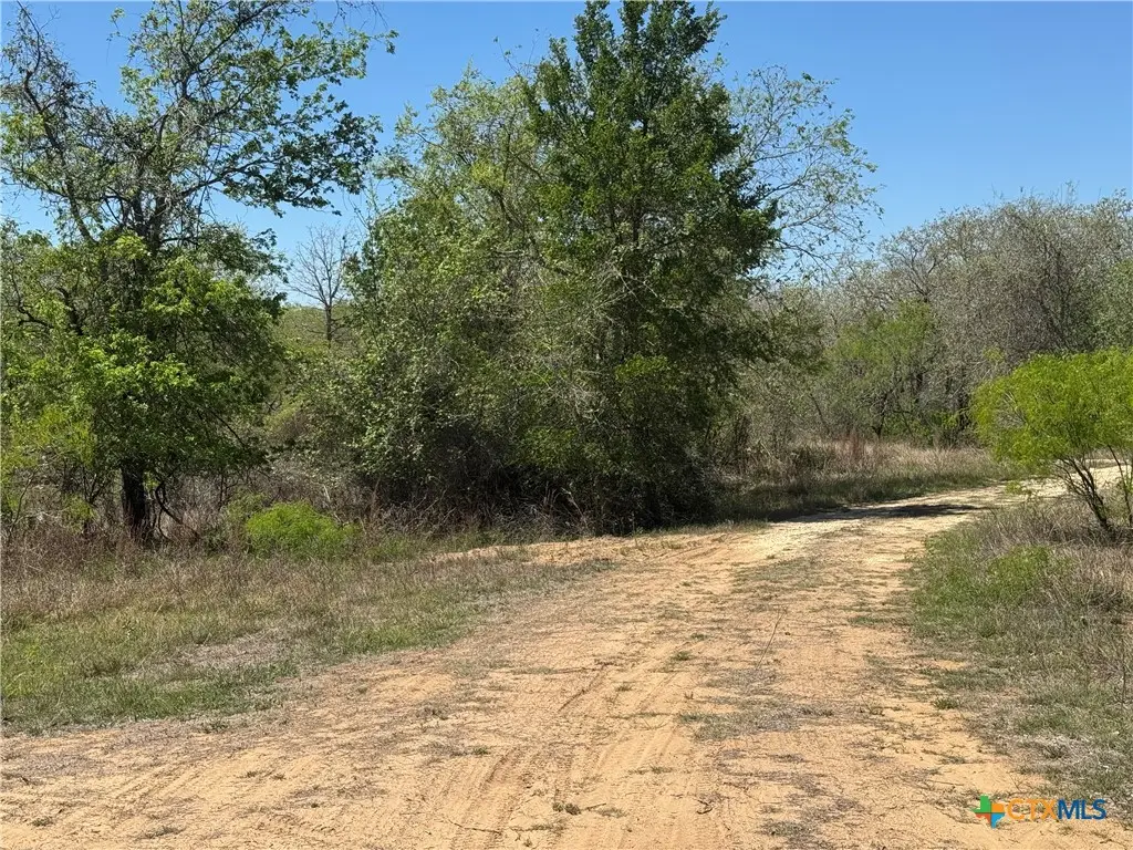 00 Dowdy Road, Kingsbury, TX 78638 - #1