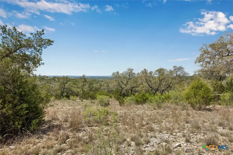 1078 Madrone Road, Fischer, TX 78623 - #2