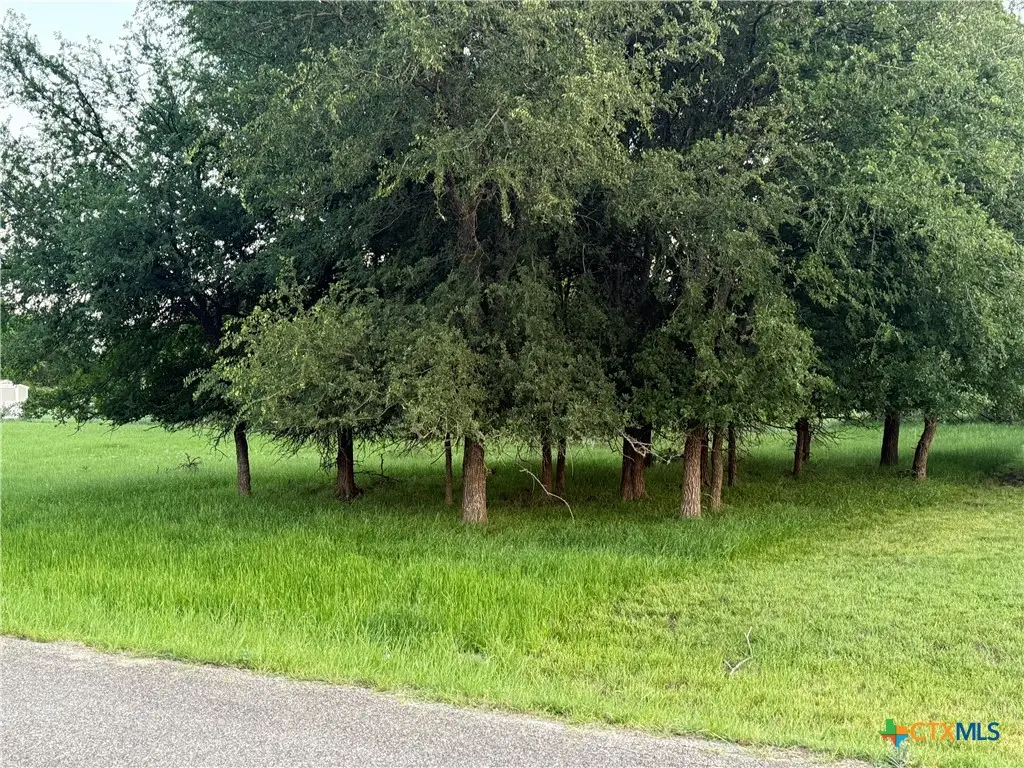 6 Blue Roan Drive, Morgans Point Resort, TX 78163 - #1