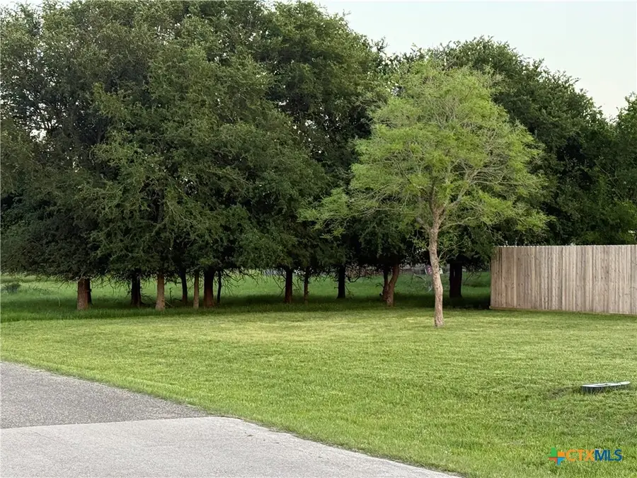 6 Blue Roan Drive, Morgans Point Resort, TX 78163 - #2