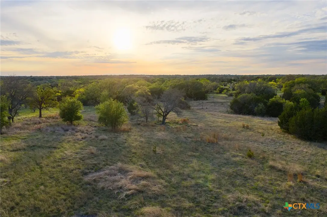 405 Blackjack Oak Drive, Goldthwaite, TX 76844 - #1