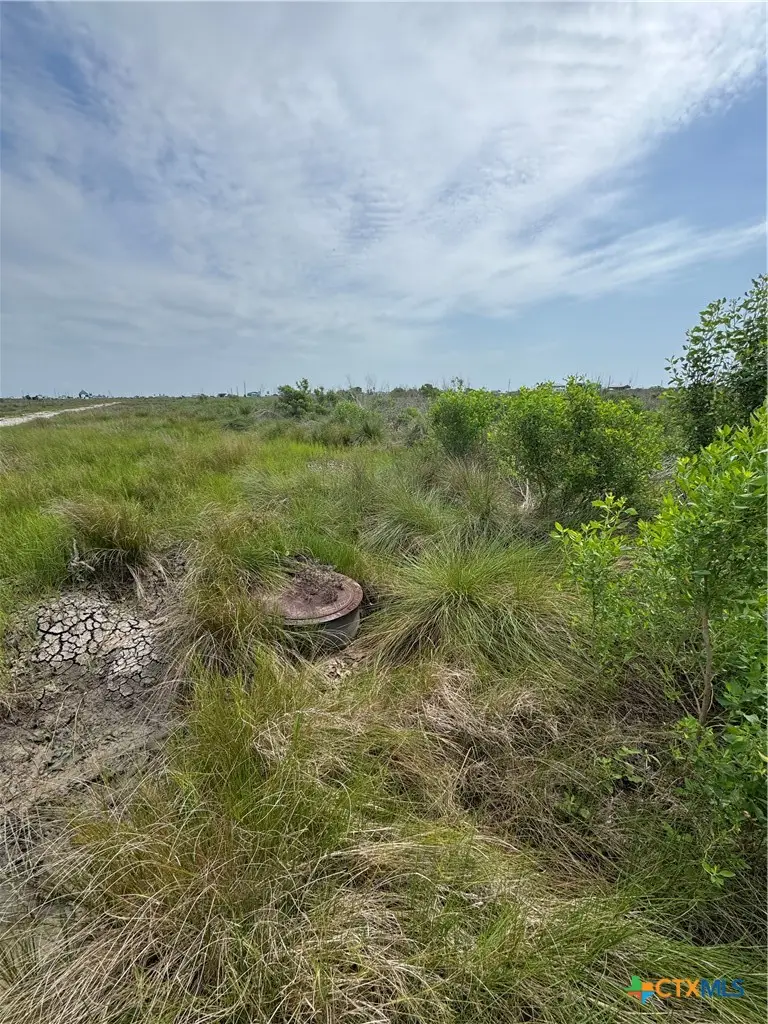 0 Titanic, Sargent, TX 77414 - #2
