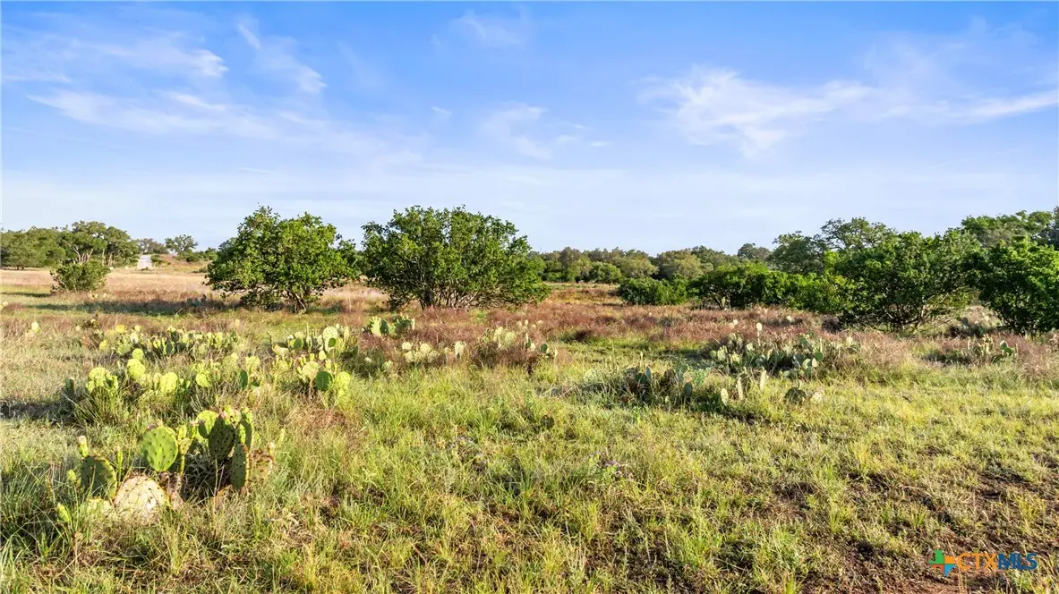 Lot 3 Vista Ridge Dr, Round Mountain, TX 78663 - #1