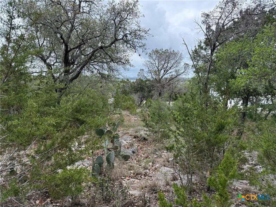 1113 Keystone, Canyon Lake, TX 78133 - #3