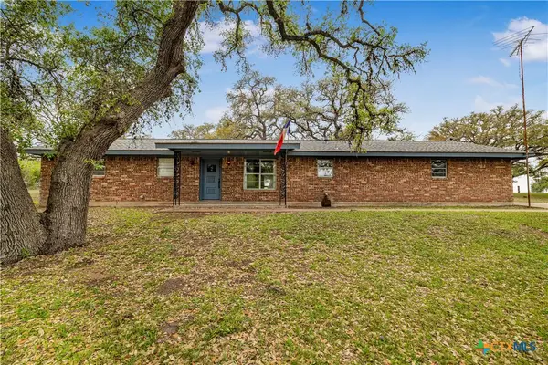 3628 State Highway 119, Yorktown, TX 78164