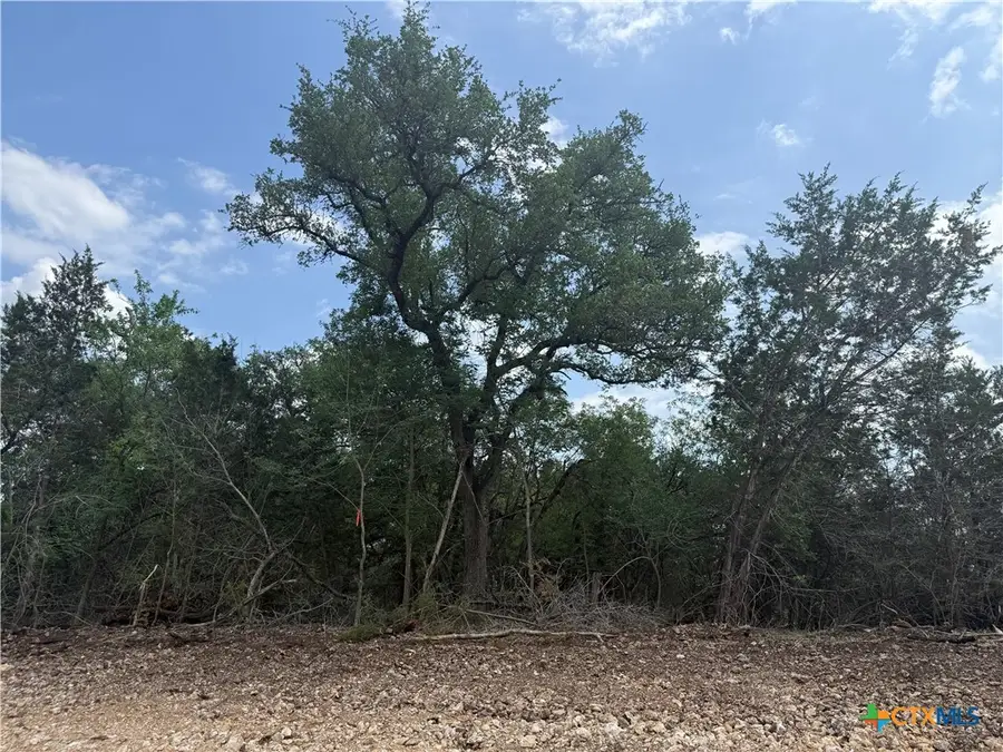 TBD Lot 49 Juniper Ridge, Salado, TX 76571 - #3