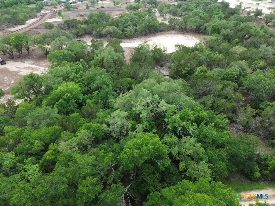 TBD Lot 46 Juniper Ridge, Salado, TX 76571 - #2