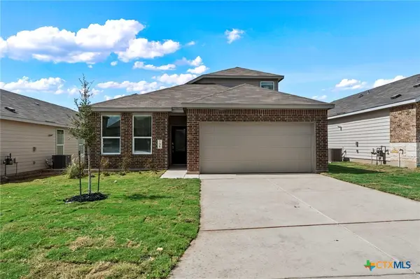 736 Horsetail Lane, New Braunfels, TX 78132