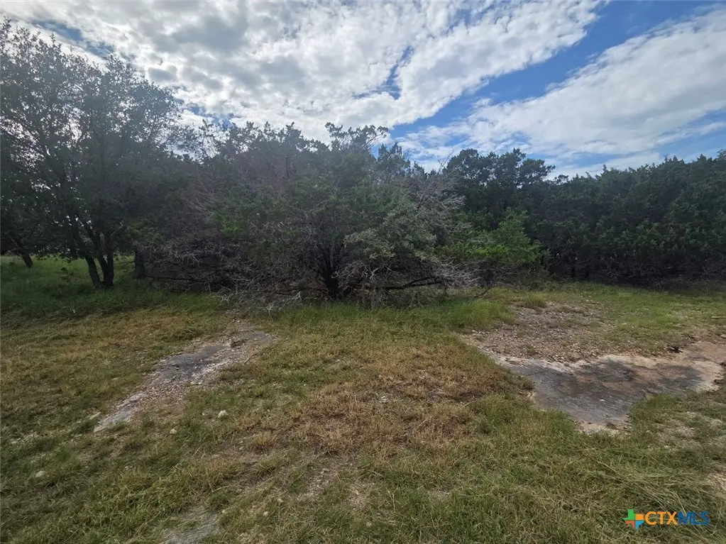 5236 Comanche Drive, Temple, TX 76502 - #1