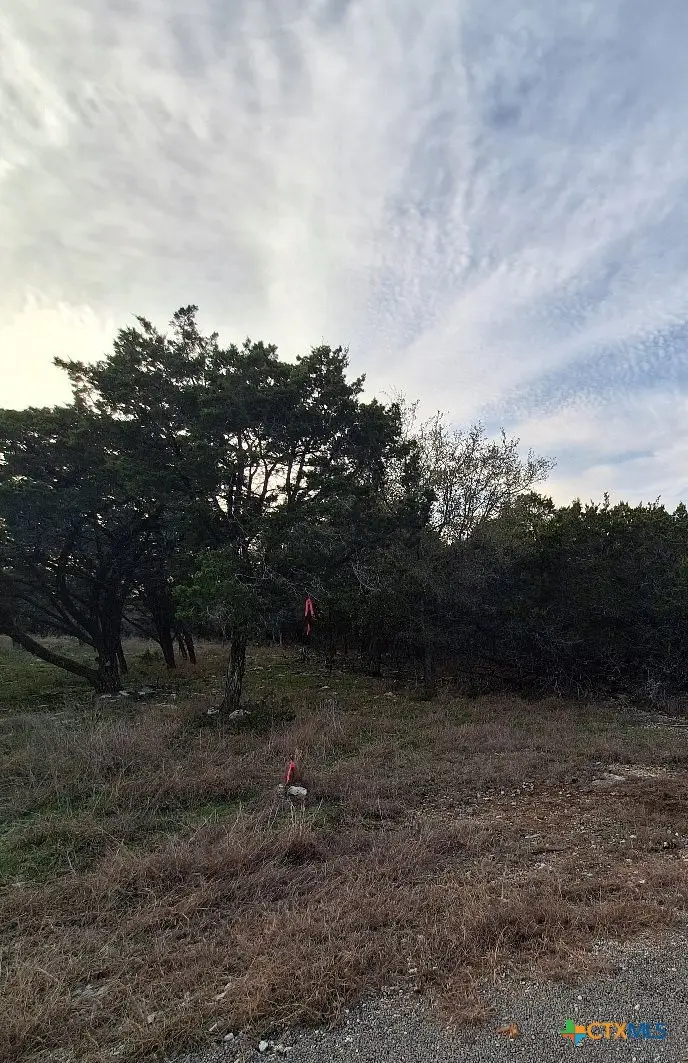 5236 Comanche Drive, Temple, TX 76502 - #2