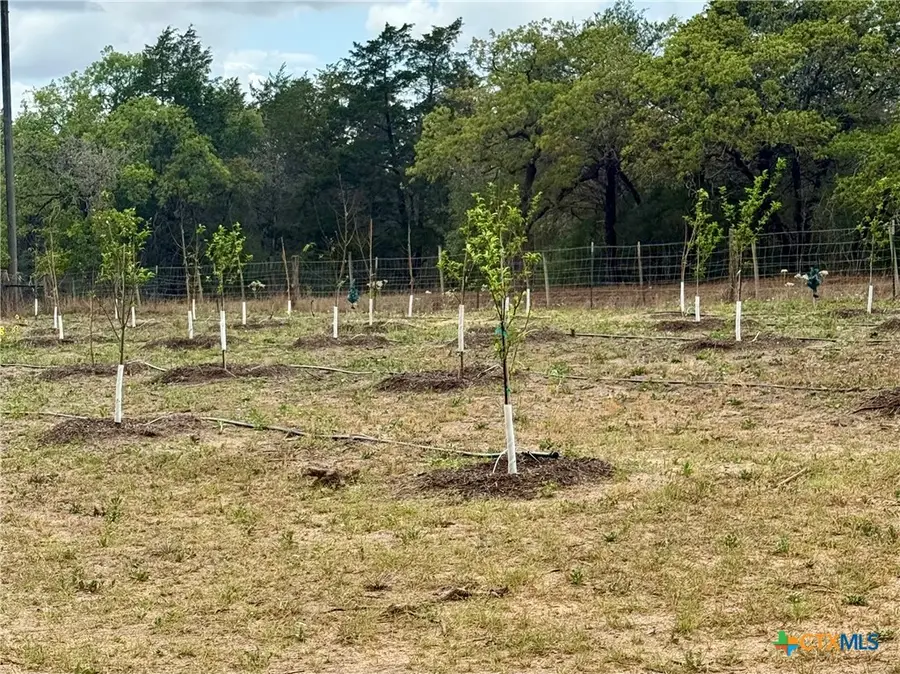 6975 Silver Mine Road, Harwood, TX 78632 - #3