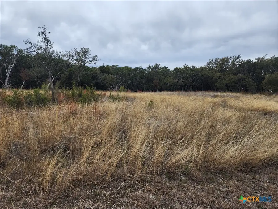 Lot 162 Addax Court, Lampasas, TX 76550 - #2