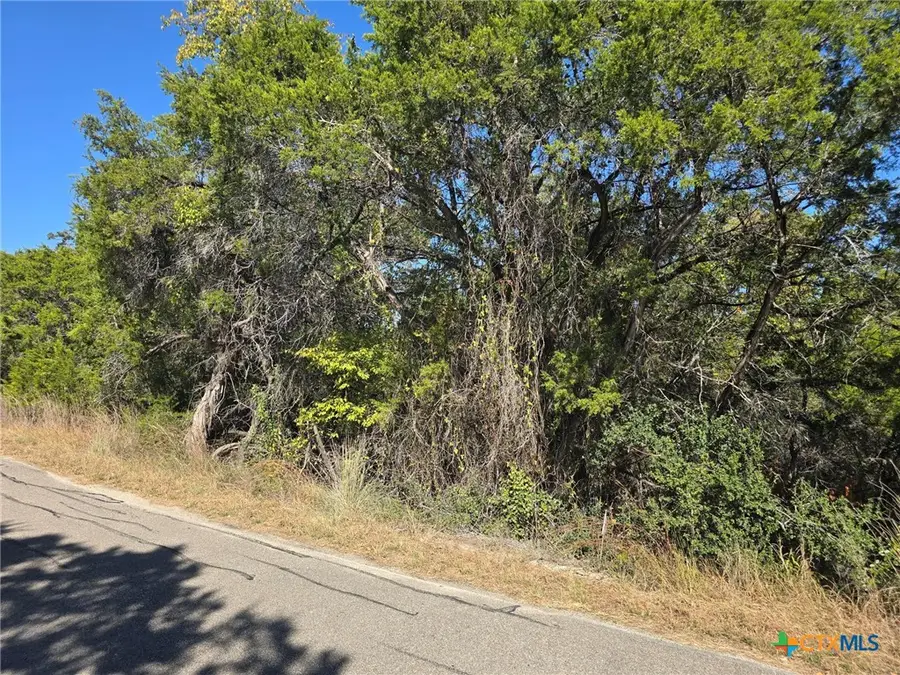 20702 Oak Ridge, Lago Vista, TX 78645 - #2