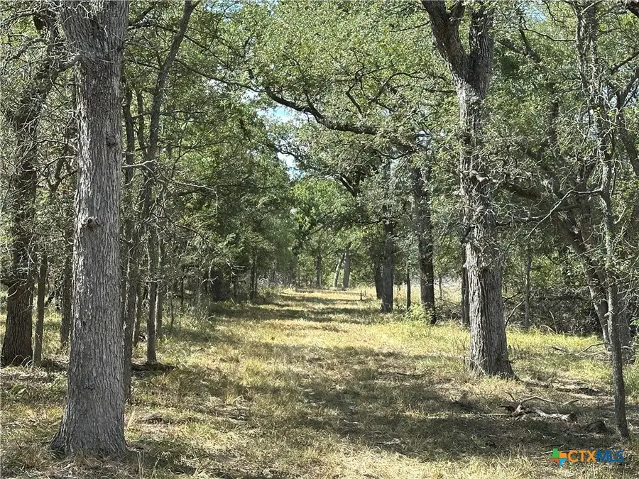 650 Coastal Lane, Luling, TX 78648 - #2