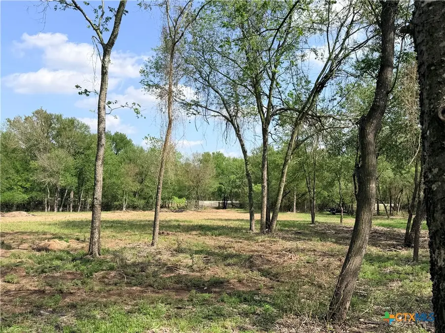 TBD Fm 86, Luling, TX 78648 - #2