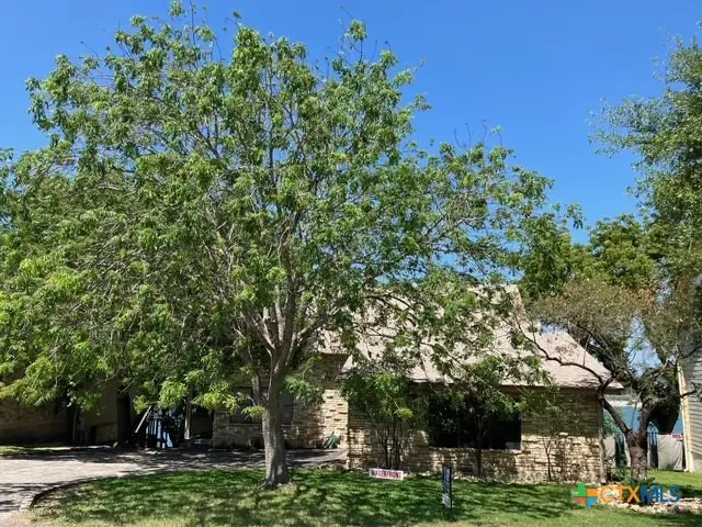 1603 W Lakeside Drive, Canyon Lake, TX 78133 - #3