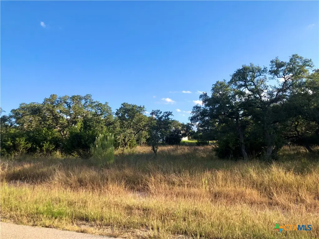 0 Chardonnay, New Braunfels, TX 78132 - #1