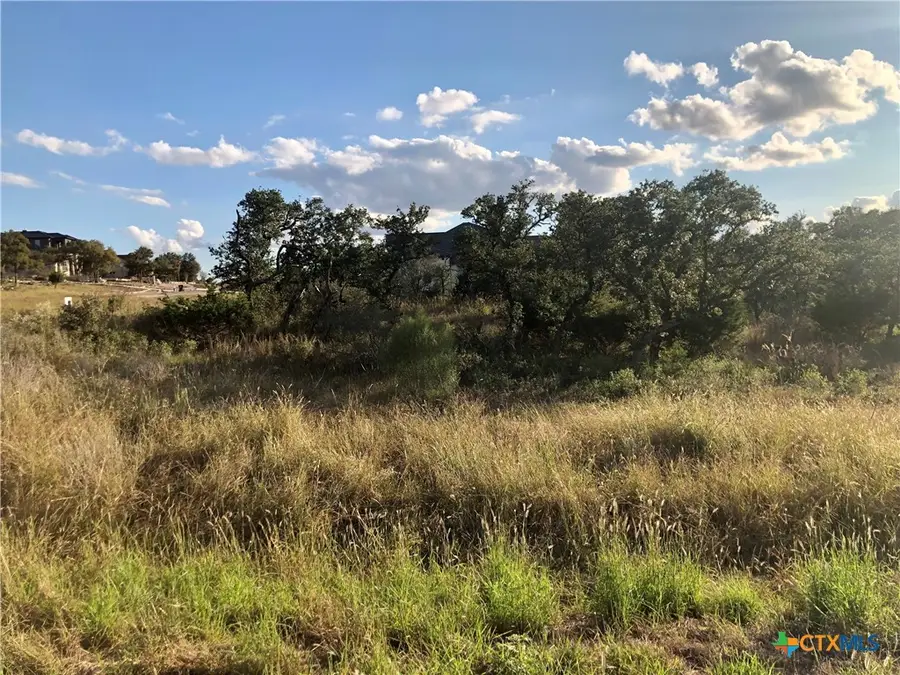 0 Chardonnay, New Braunfels, TX 78132 - #3