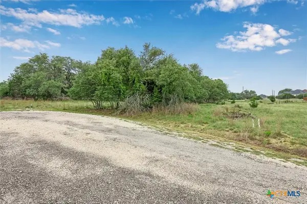 104 David Gage, Blanco, TX 78606