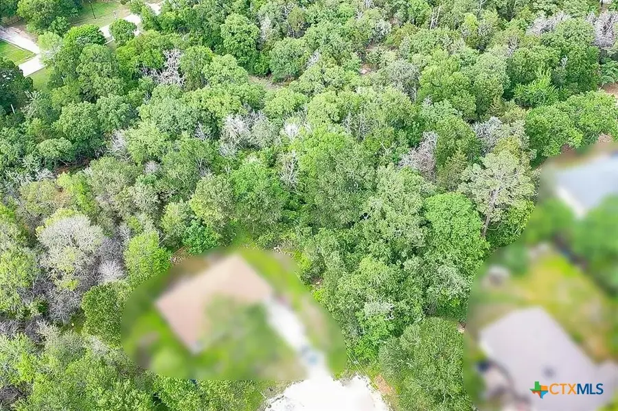 111 Nuupia Court, Bastrop, TX 78602 - #3