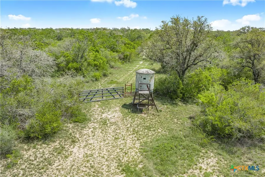 TBD Cr 104, Pettus, TX 78146 - #2