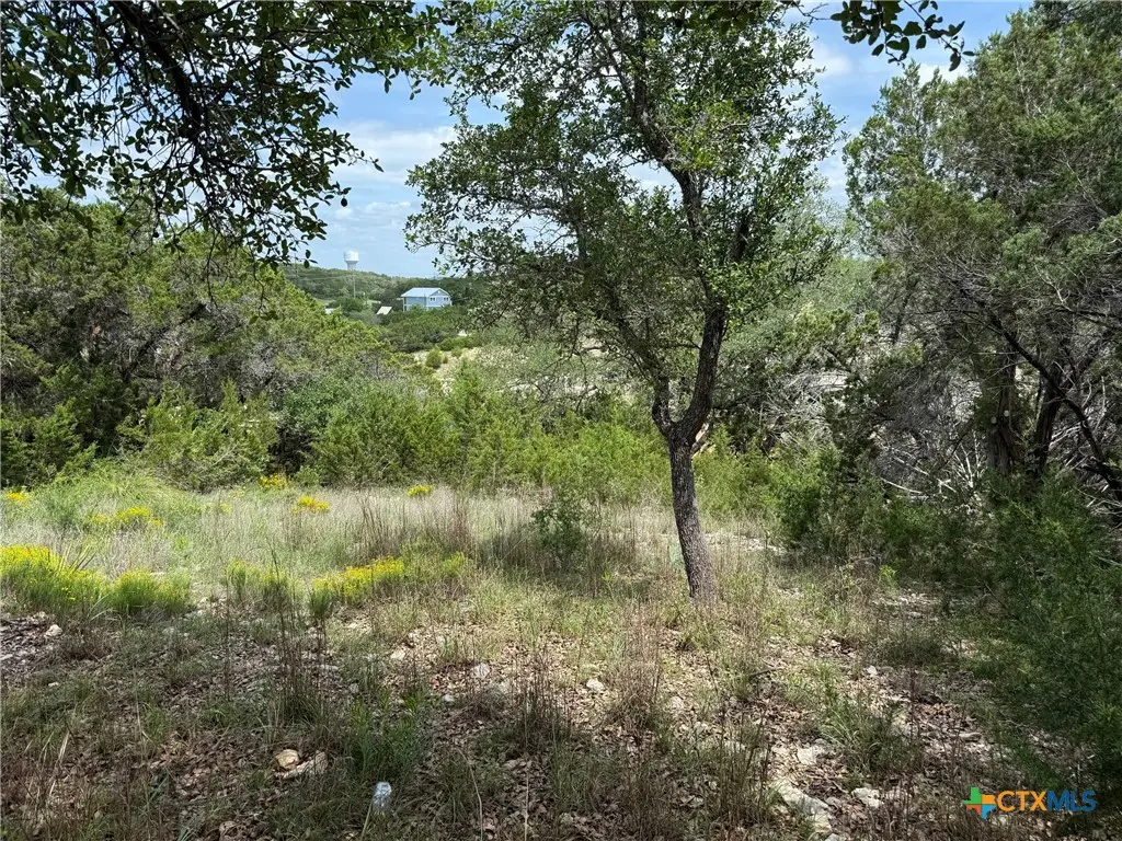 1252/1264 High Hills Drive, Canyon Lake, TX 78133 - #1