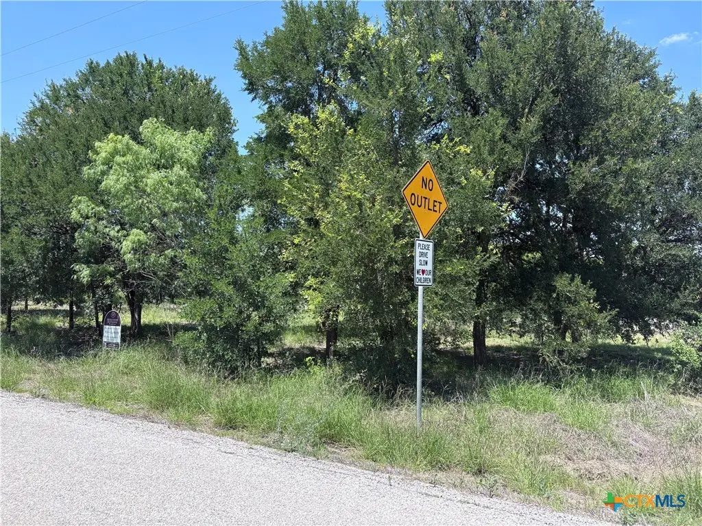 210 Horace Howard Drive, San Marcos, TX 78666 - #1