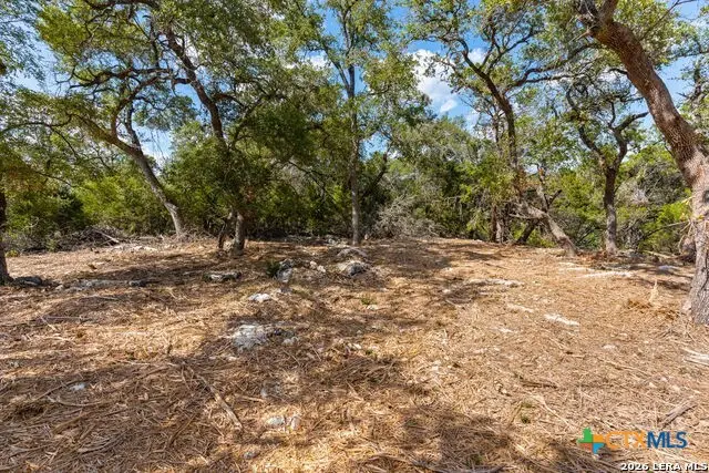 1468 Stahlman Way, New Braunfels, TX 78132 - #3