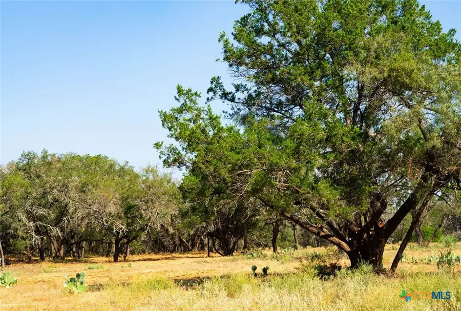 0000 Old Ferry Road, Spicewood, TX 78669 - #3