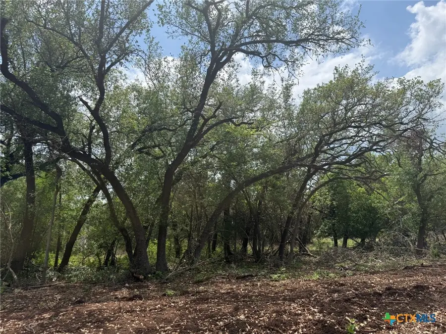 TBD Lot 14 Silverleaf Ridge, Salado, TX 76571 - #3