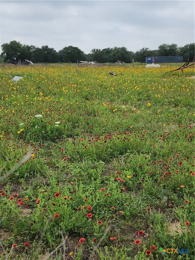 3921 Cr 334, Stockdale, TX 78160 - #2