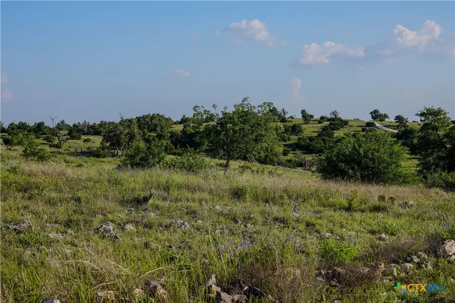 1077 Adobe Creek Road, Fredericksburg, TX 78624 - #3