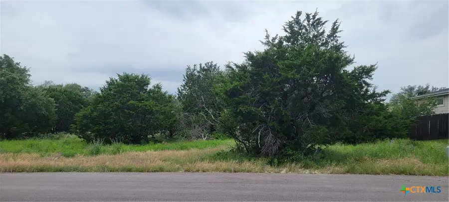 21524 Santa Elena Circle, Lago Vista, TX 78645 - #3