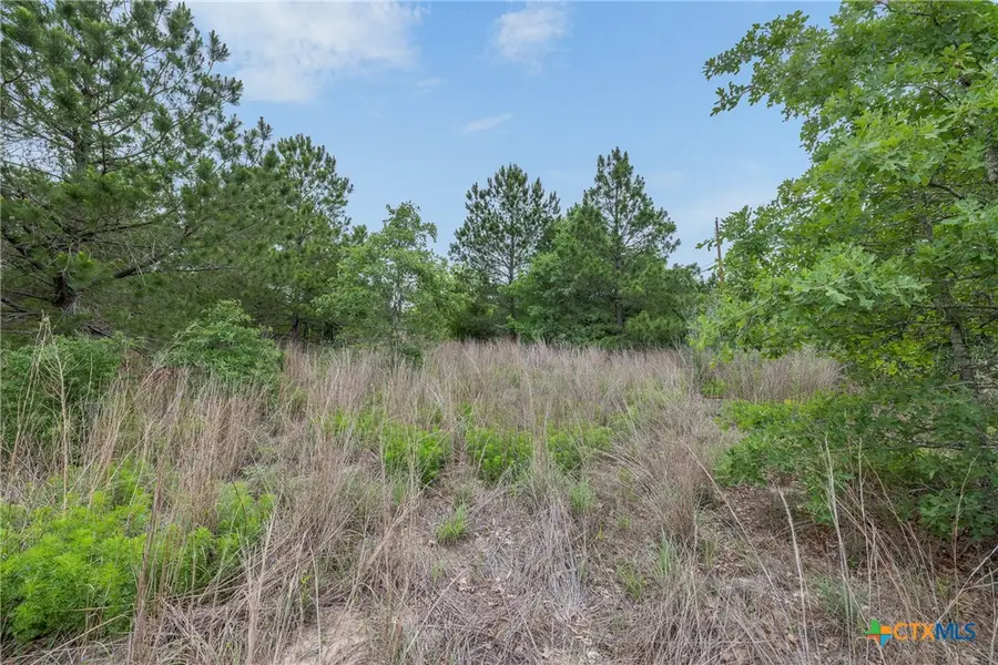 TBD Lot 20c County Rd, Bastrop, TX 78602 - #2