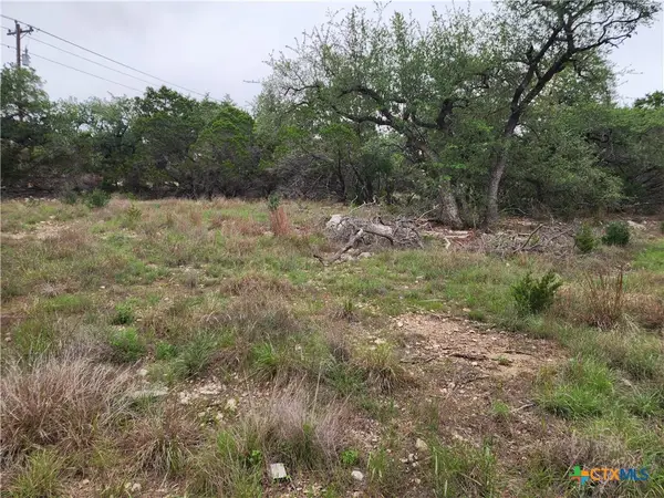 286 Flanders, Fischer, TX 78623