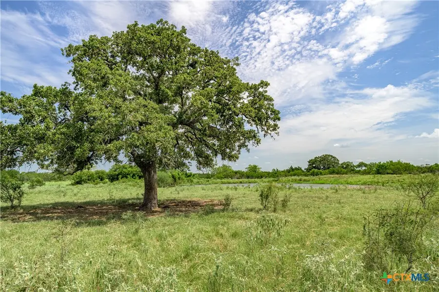 TBD Fm 2237, Flatonia, TX 78941 - #2