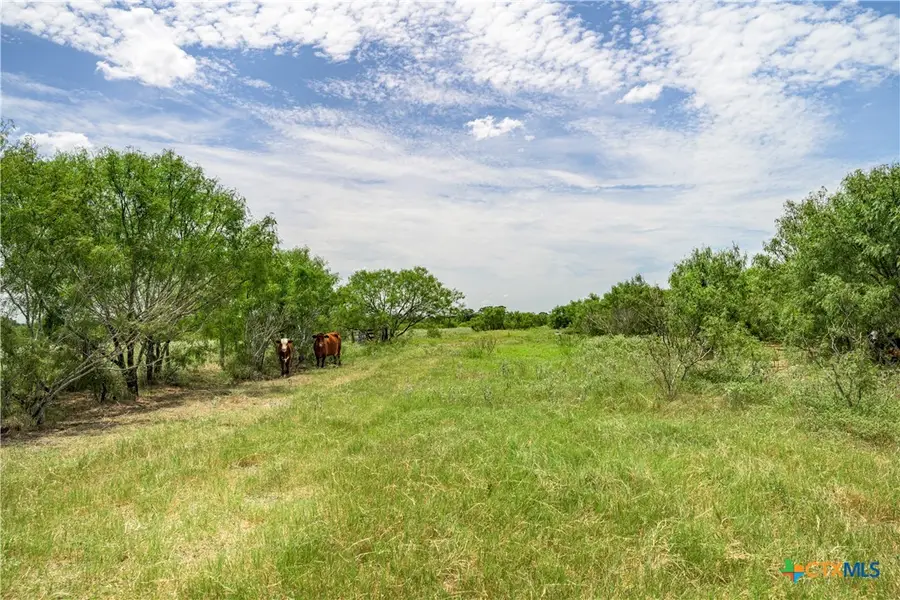 TBD Fm 2237, Flatonia, TX 78941 - #3