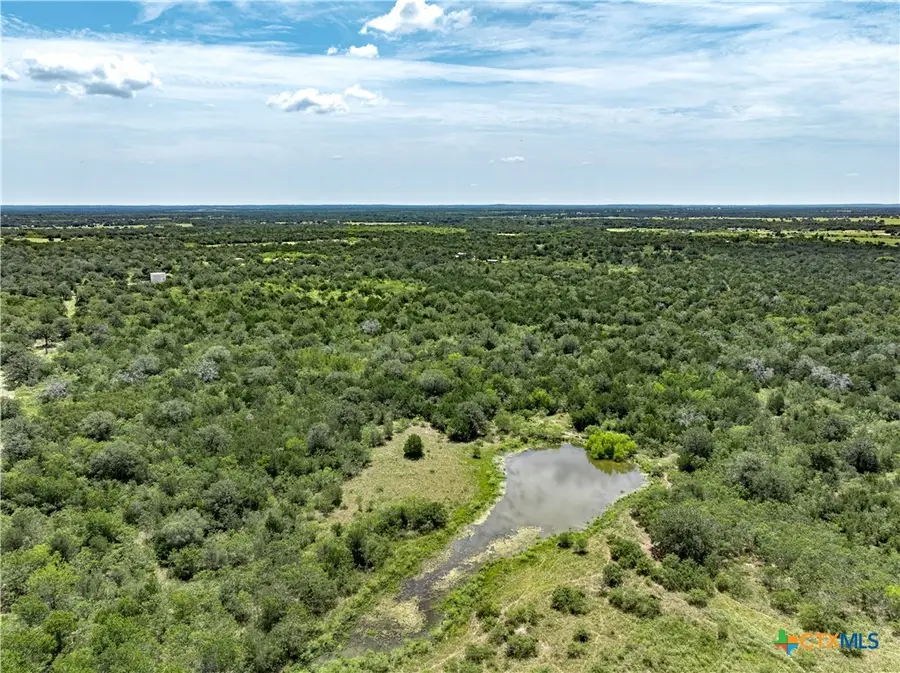 TBD Roy Road, Flatonia, TX 78941 - #3