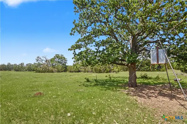 179 E County Road 318, Goldthwaite, TX 76844