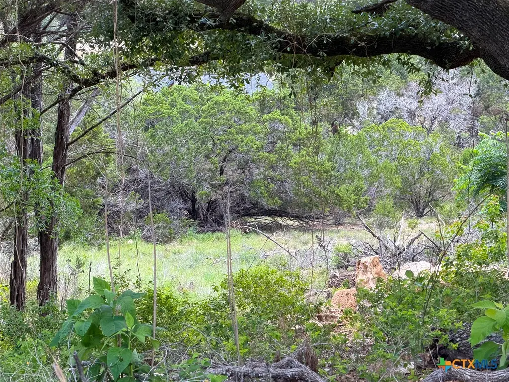 273 Scenic Drive, Canyon Lake, TX 78133 - #1