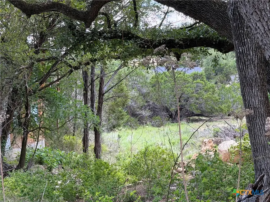 273 Scenic Drive, Canyon Lake, TX 78133 - #3