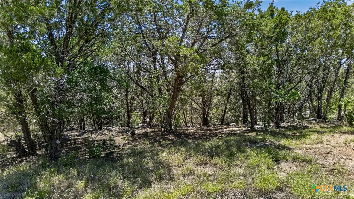 600 Lorne Road, Canyon Lake, TX 78133 - #1