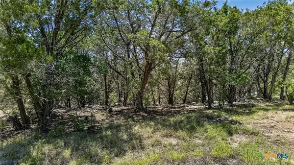 600 Lorne Road, Canyon Lake, TX 78133